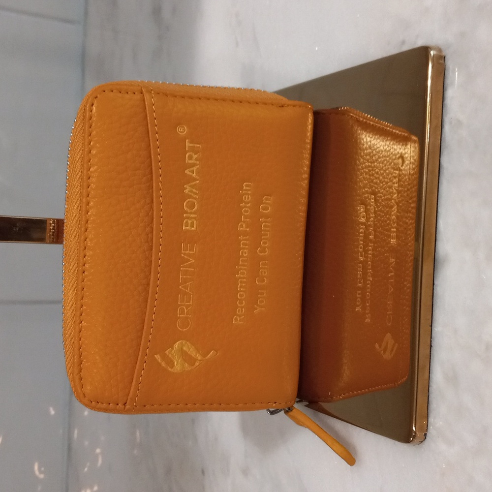 Card Wallet